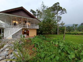 Wabi Sabi House Broga